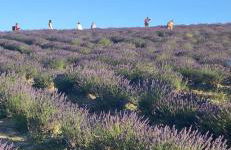 La casina delle bimbe - Foto 2