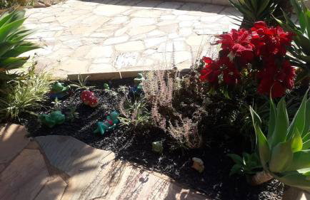 Sítio Santa Terezinha Canastra - Foto 69