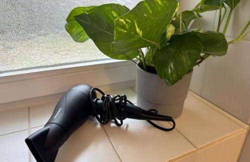 Apartment Albrecht, Zentrales Studio mit Terrasse - Foto 14