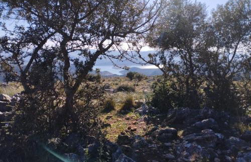 La Ruteña - Foto 26