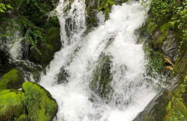 En toute simplicité - Foto 7