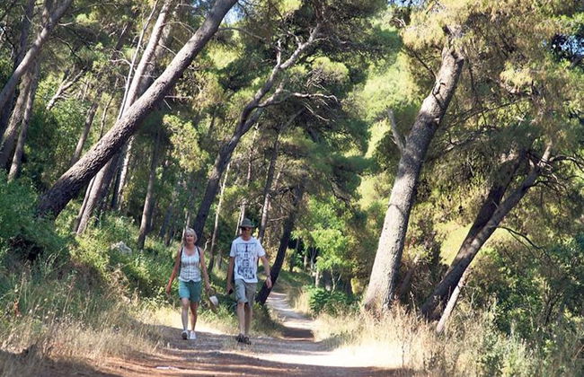 Luxury Apartment With Private Balcony in Quiet Area - Foto 25