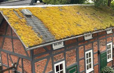 Badehaus Villa Fiedrichs - Foto 24