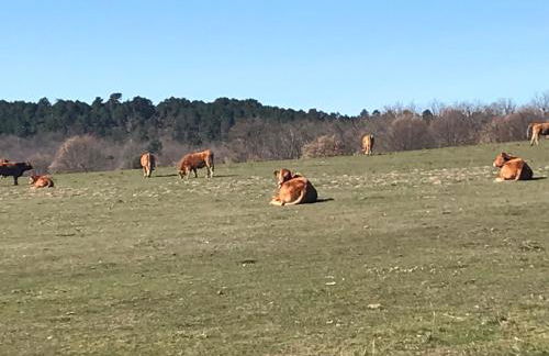 La Masía de Navas - Photo 47