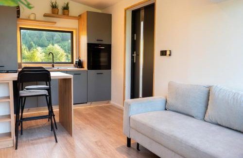 Cottage with sauna doBeskid - Foto 16