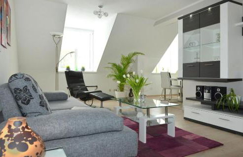 AMF Ferienwohnungen historischer Soutyhof - Foto 9