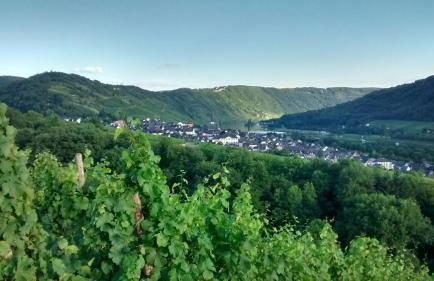 Weingut Sauer-Kettermann - Foto 11