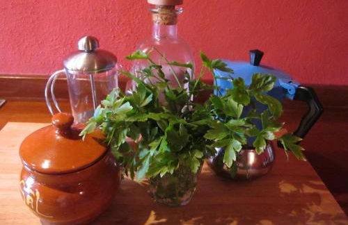 Haciendas del Valle - Las Kentias - Foto 71