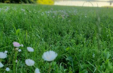 Fuledzki Biały Domek - Mazury, Jacuzzi, Sauna, Giżycko - Foto 55