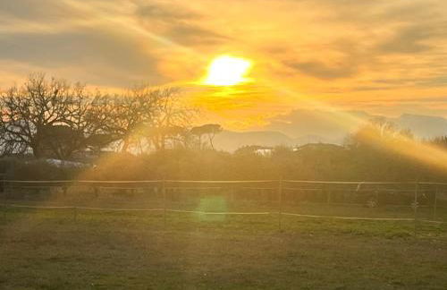 Appartamento DAF House - Foto 15