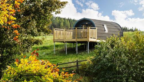 Spectacular Mountain View Ecopod - Foto 1, Garden, Garden view