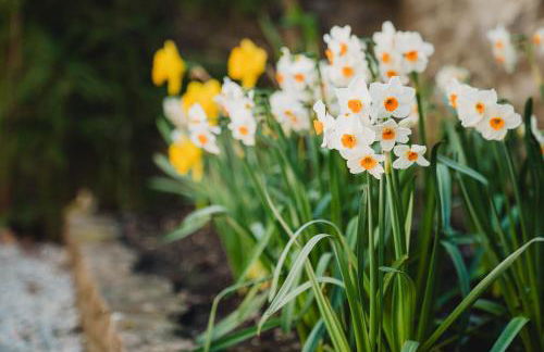 Lodge Cottage, Castleton - Foto 48