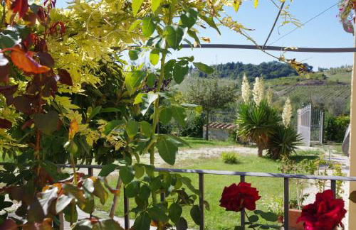 Il Gufo del Chianti - Foto 34