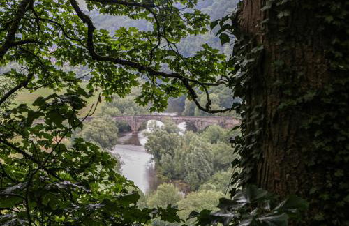 Wren Cottage - Foto 37