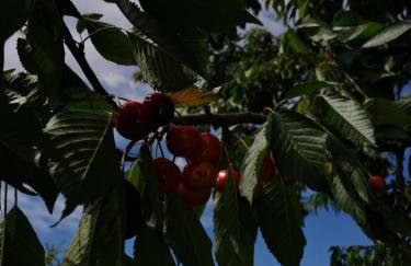 Apartman Sunce - Foto 14