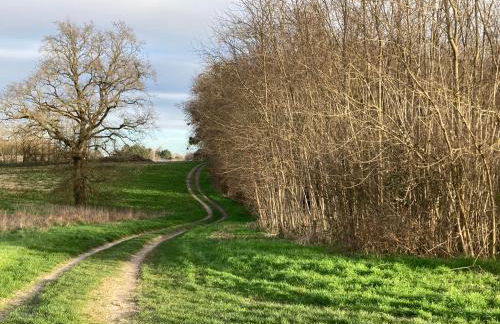 Charmant Gîte au calme, coeur Touraine, proche Chenonceaux - Foto 23