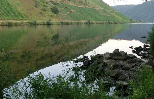 Ferienwohnung Rivaner - Foto 34