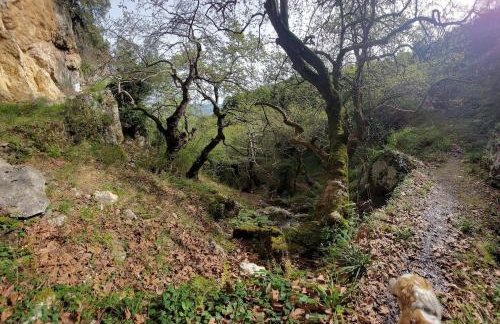 Ipati Forest Chalet - Foto 51