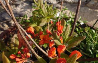 Apartment Kerstin by Interhome - Foto 20