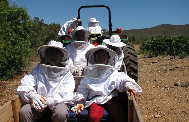 Die Ou Huis - Foto 27