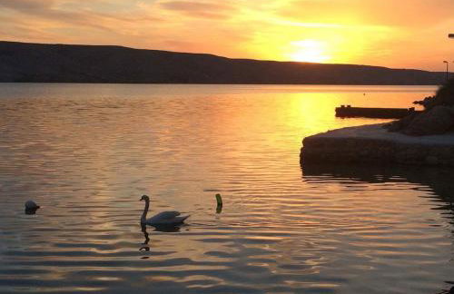 Apartman Demi - Foto 22