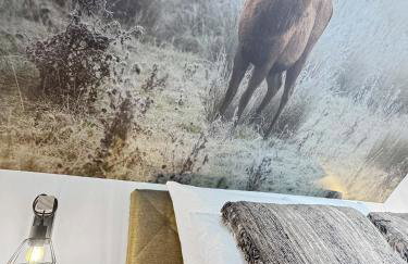 CBlue: Seeblick, Kamin, Wallbox, Natur - Foto 36