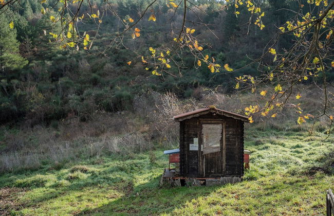 Il Capriccio del Papa - Photo 63