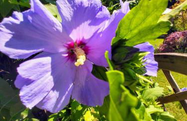 Casa Bellavista - Foto 54