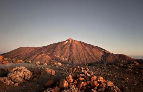 Little LuxuryHouse Puerto de la Cruz - Foto 46