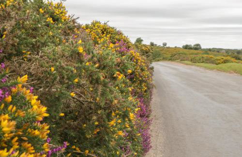 Flora's Barn - Foto 39