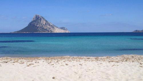 Bilocale Miramare - Foto 3