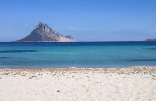 Bilocale Miramare - Foto 3