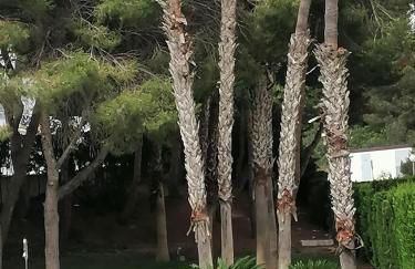 Campoamor Seaview - Foto 31