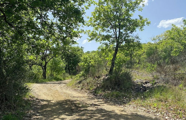 Podere Cavalbianco - Foto 68