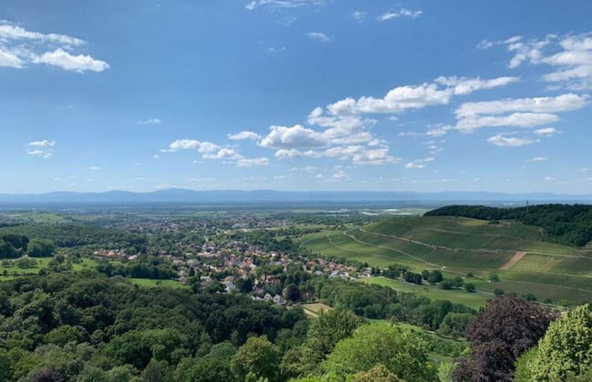 Apartment at the Edge of the Forest - Foto 34