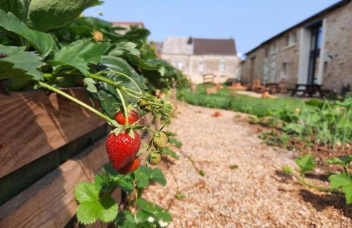 Grain d'orge et cornouiller - Foto 36