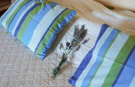 Cottage provencal - Villa saint Marc - Foto 13