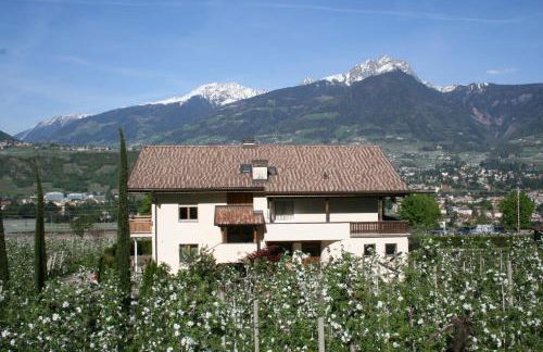 Premium Apartments Faselehof - Foto 40