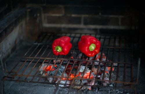 Finca Fuente Laurel - Foto 26