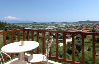 Olive Hill - Foto 37
