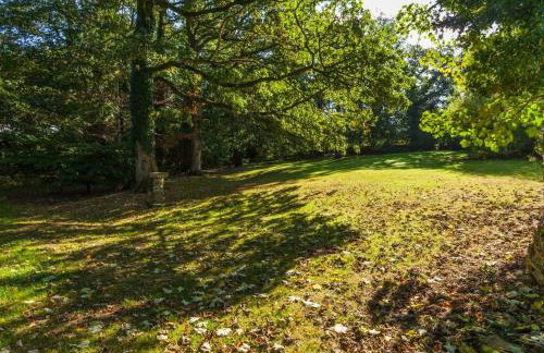 Great Bidlake Manor - Foto 40