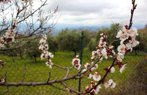 A Casa di Zia Daniela - Oasi nel Silenzio - Photo 47