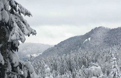 L'appart des familles sportives! - Photo 38