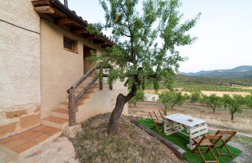 Mas de Salvador - Foto 13