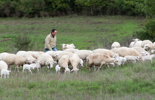 Umbria Family Holiday Retreat - Foto 27