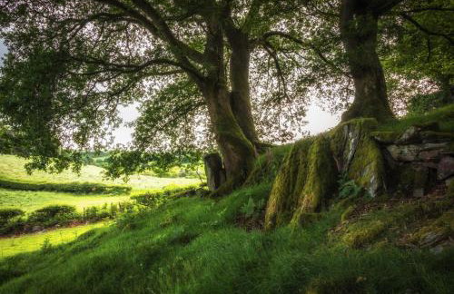 Maes Madog Cottages - Foto 50