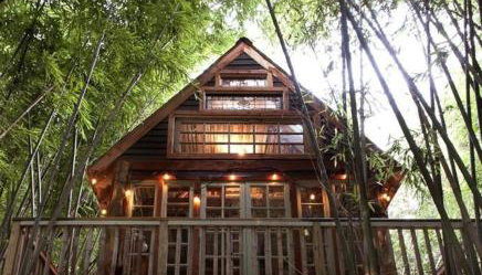 Cozy Alpaca Tree House Rental in the Bamboo Forest in Atlanta, Georgia - Foto 5
