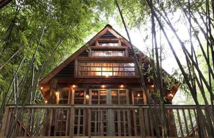 Cozy Alpaca Tree House Rental in the Bamboo Forest in Atlanta, Georgia - Foto 5