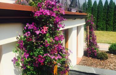 Apartamenty Euphoria - Foto 55