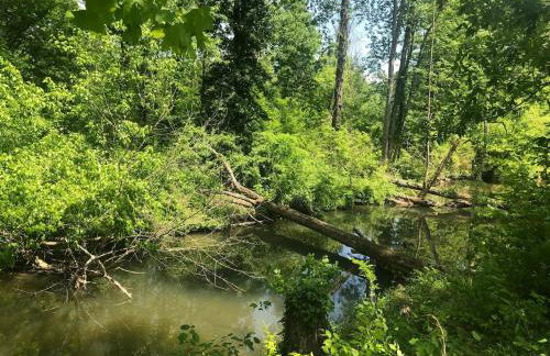 Beautiful Secluded Log Cabin - Foto 39